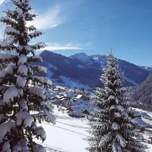Centre Avec Coin Montagne Châtel